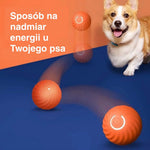 Pomarańczowa piłka odbijająca się na niebieskiej powierzchni z uśmiechniętym corgi.
