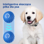 Niebieska piłka odbijająca się z szczeniakiem golden retriever po prawej.