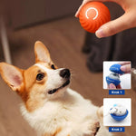 Ręka trzyma pomarańczową piłkę w stronę corgi; na dole pokazano niebieską piłkę otwartą i ładowaną.