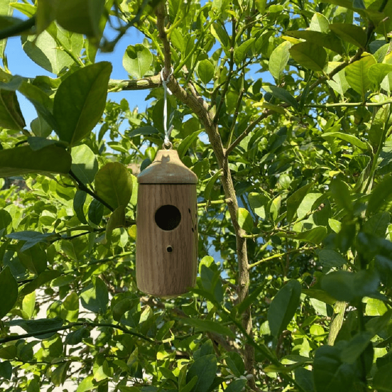 Domek dla Kolibrów z Żywicy – Ozdoba do Ogrodu, Kompaktowy Rozmiar 8x8x15 cm 4