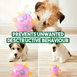 Interaktywna Piłka Dla Psa Z Diodą LED - Gumowa Zabawka Do Aktywnej Zabawy 1