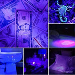 Latarka UV 100 Diod LED do Wykrywania Pluskiew i Plam – Zasięg 50 Stóp, Wodoodporna 2