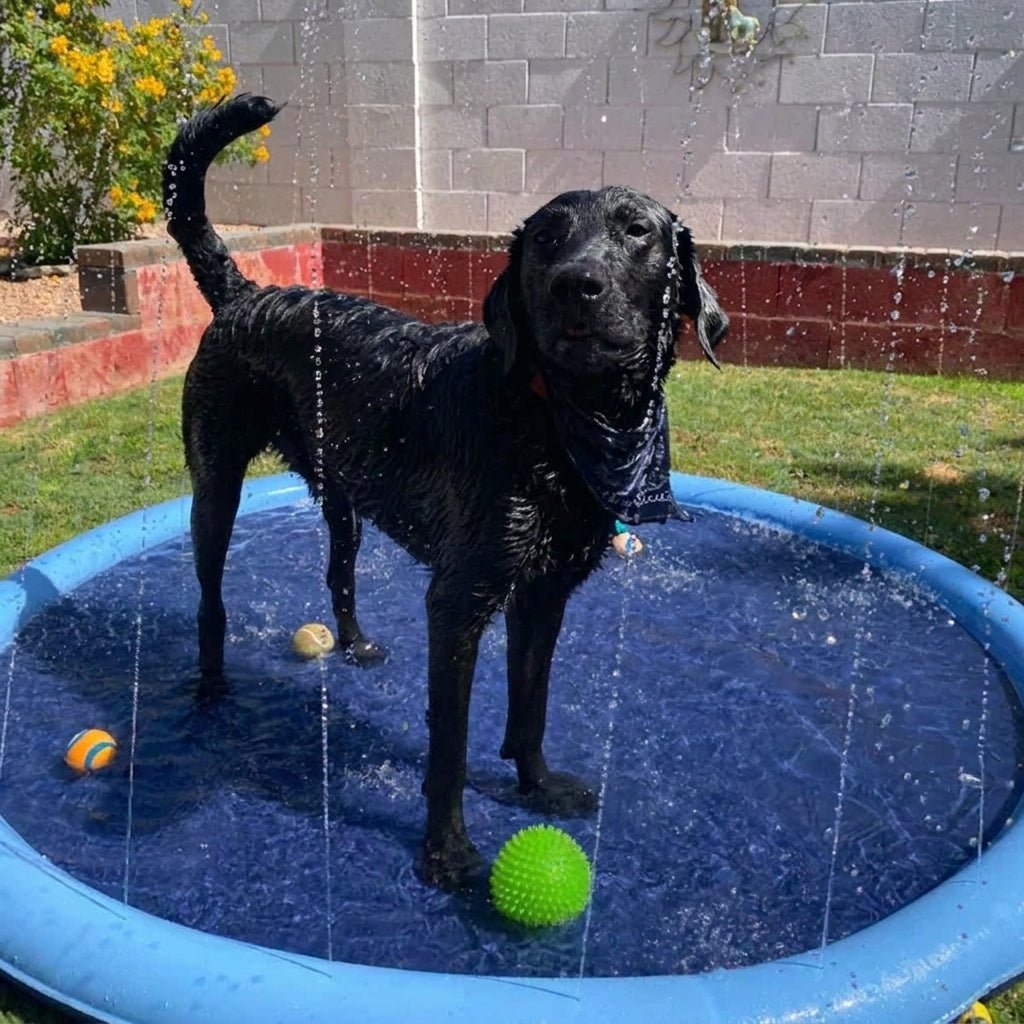 Mata dla Psa Splash Pad - Antypoślizgowa, Trwała Zabawka Wodna do Zabawy 6