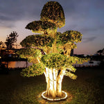 Reflektor Zewnętrzny LED - Oświetlenie Ogrodowe do Drzew i Roślin 31-44cm 1