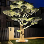 Reflektor Zewnętrzny LED - Oświetlenie Ogrodowe do Drzew i Roślin 31-44cm 3